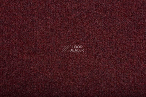 Грязезащитные покрытия Vebe Andes Andes Pd 40 фото 1 | FLOORDEALER